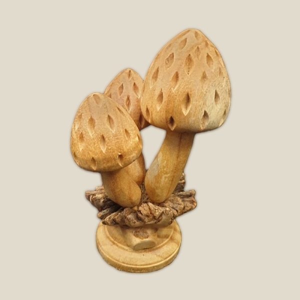 Mushroom chinaberry on parasitic wood - Image 5