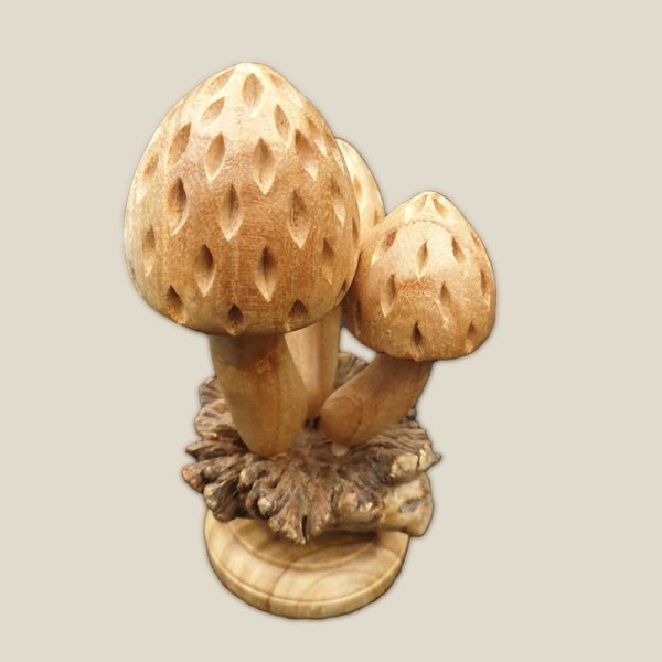 Mushroom chinaberry on parasitic wood - Image 4