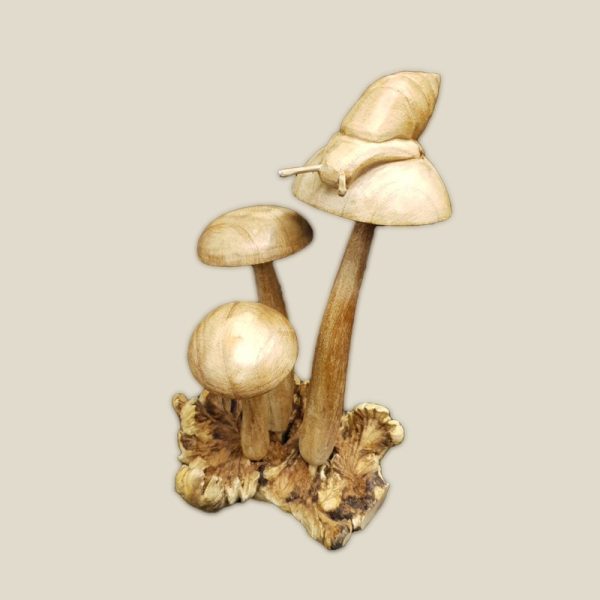 Hand Carved Wooden Snail on mushroom on natural base
