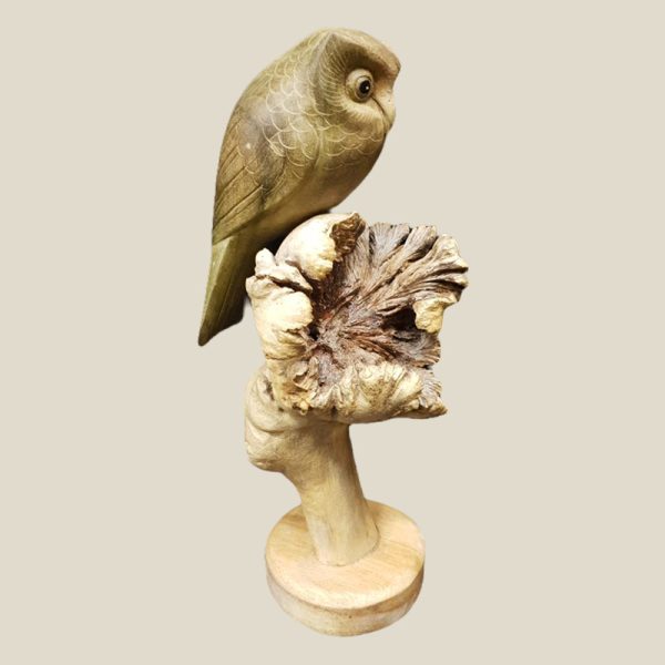 Wooden Owl on Parasitic wood